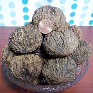 Iowa Organic Black Walnuts in shell  4 lbs